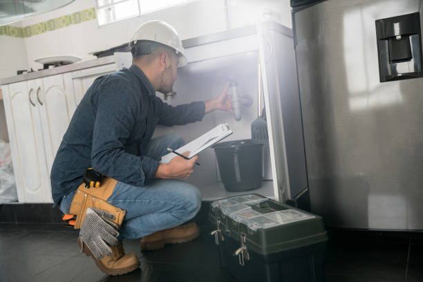 Best Same-Day Plumbing Service  in Lake Helen, FL