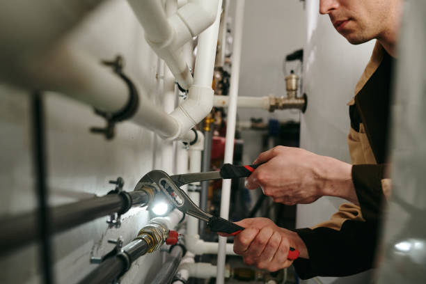 Best Plumbing Inspection Services  in Lake Helen, FL
