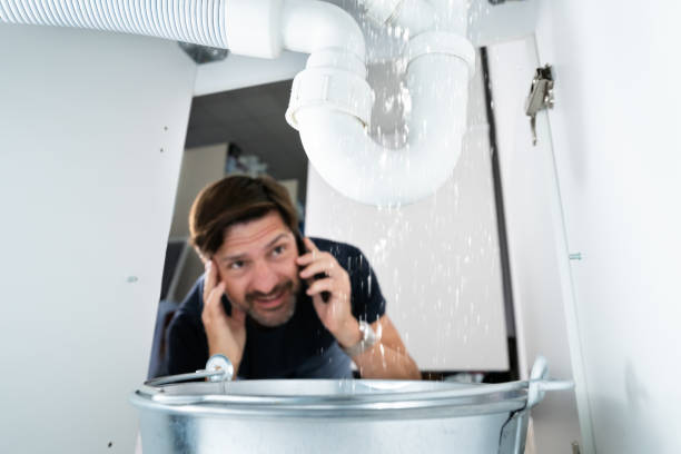 Professional Plumbing in Lake Helen, FL