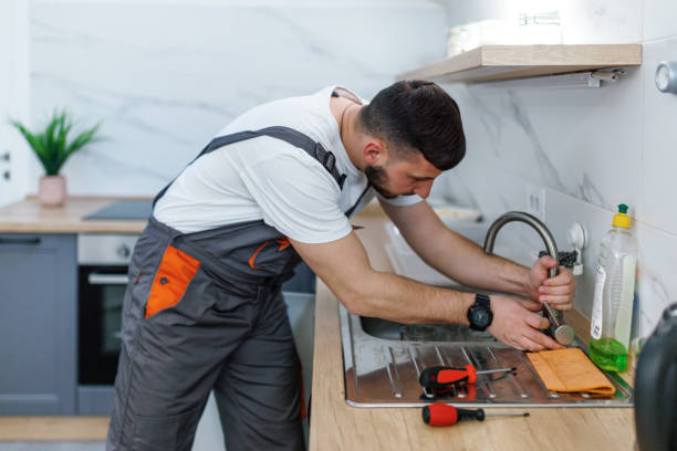 Best Local Plumber Services  in Lake Helen, FL