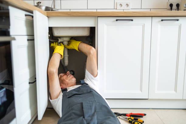 Best Affordable Plumbing Services  in Lake Helen, FL