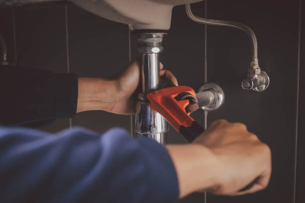 Best Local Plumber Services  in Lake Helen, FL